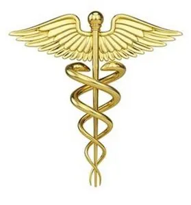 Spine Specialists